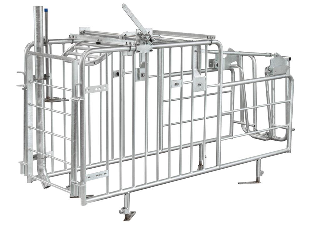 Hog Slat Free Access Stall